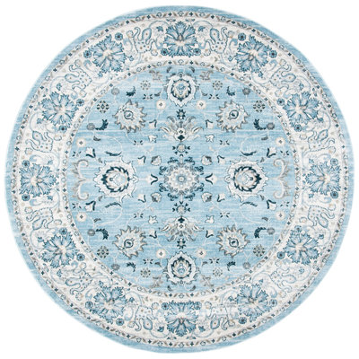 Delmer Performance Oriental Rug