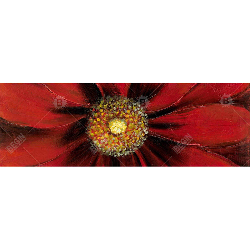" Red Daisy " on