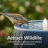 Textured Spiral LED Outdoor Bubble Fountain - Blue-1735162691
