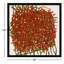 Thicket Print by Stephanie Dennis-1616698194-1616698197