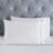 Harrison Cotton Greek Key Embroidered Deep Pocket Bed Sheet Set by Superior-110742931-101125354