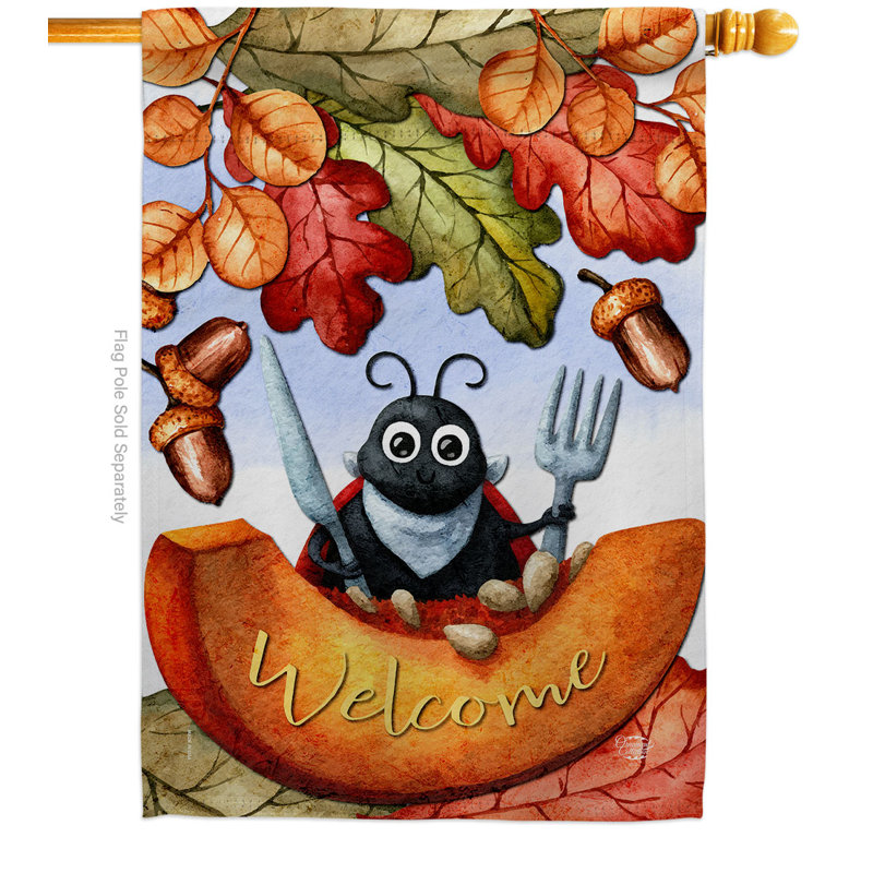 Drapeau de maison coccinelle 28 x 40 pouces