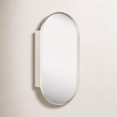 Verdera Capsule Framed Medicine Cabinet