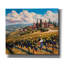  «Tuscan Vineyard Harvest» par Doron David, art mural sur toile, 30 po x 26 po-1086709013