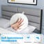 Metal Bed-1133996383
