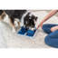 Trixie Poker Box 2, jeu de stratégie pour chien avancé, activité de niveau 3, casse-tête