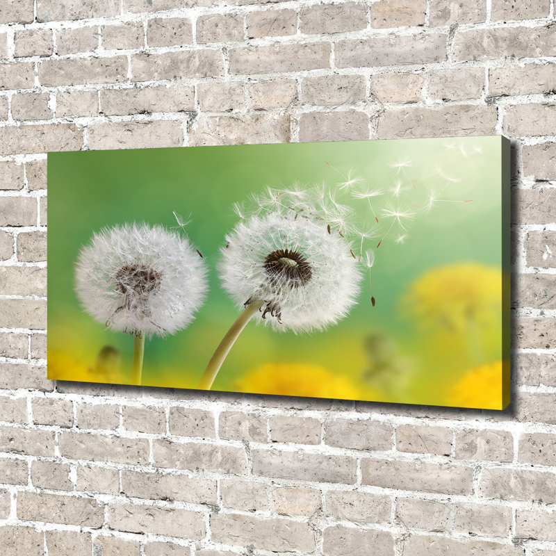 Dandelions - No Frame Print on Glass, Canvas, 70cm H x 140cm W x 2cm D