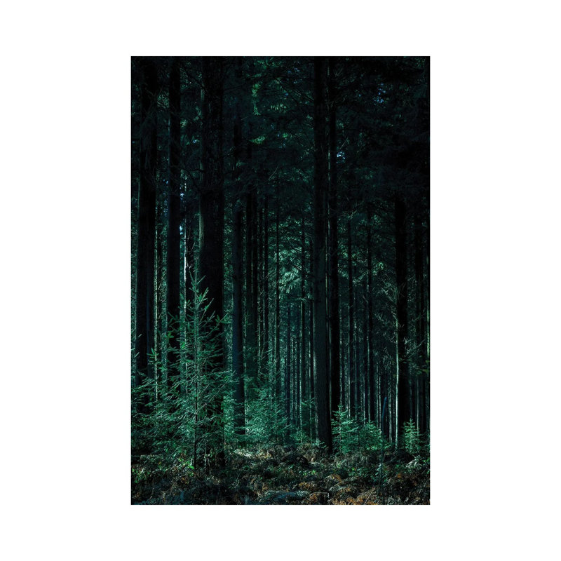 Deep Green - Print on Canvas, 20.32 cm H x 30.48 cm W, Wrapped Canvas