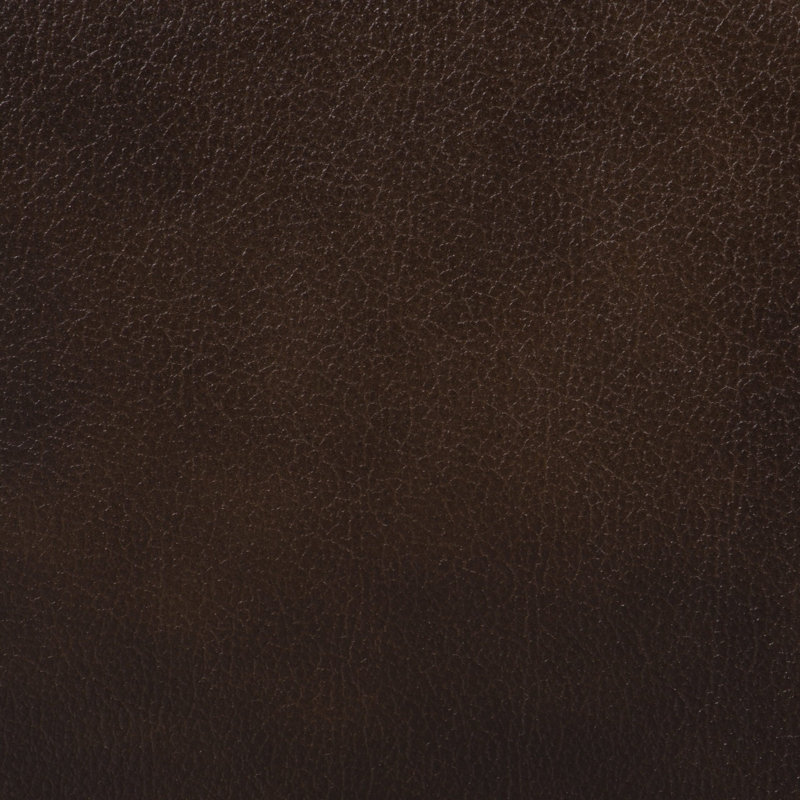 Tamico Genuine Leather Sofa, Brown, 4