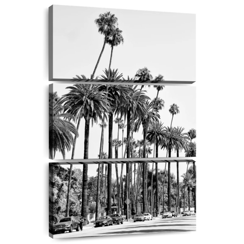 Palmiers de Sireci, Californie, Californie, H 32 po x l 20 po
