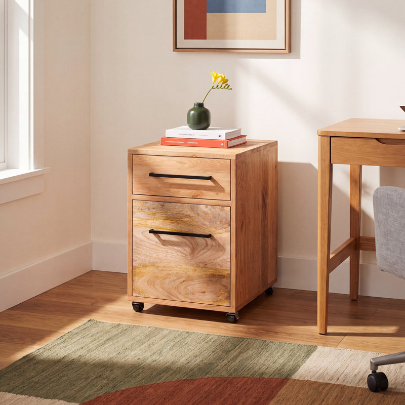Ascent 2-Drawers Mobile Vertical Filing Cabinet