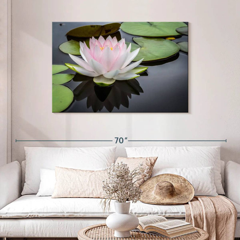 Lotus blanc rosé Harnek, H 30 po x l 45 po