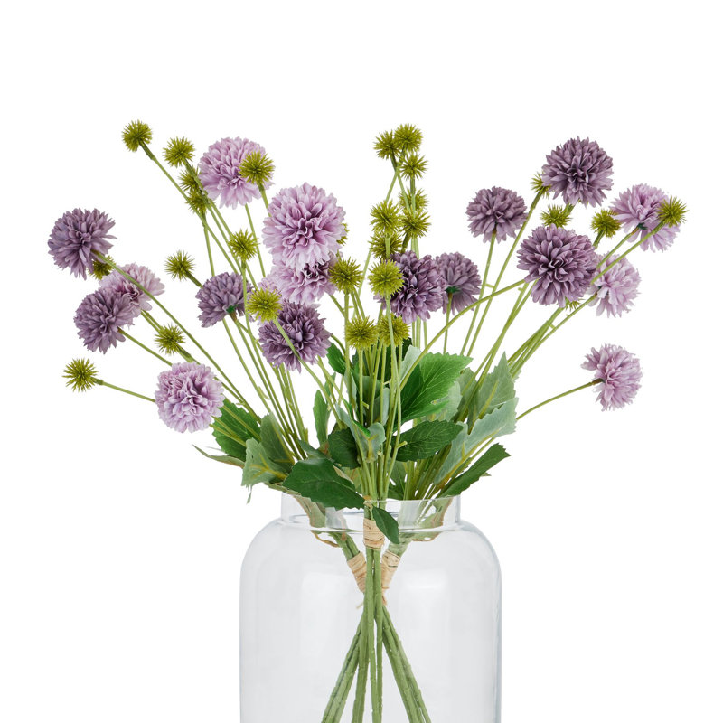 Anastasija Arrangement