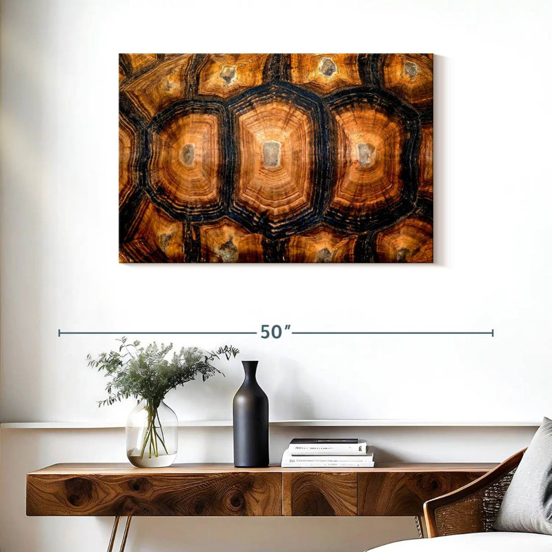 Carapace de tortue, H 24 po x l 36 po