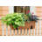 Mangus Window Box Planter