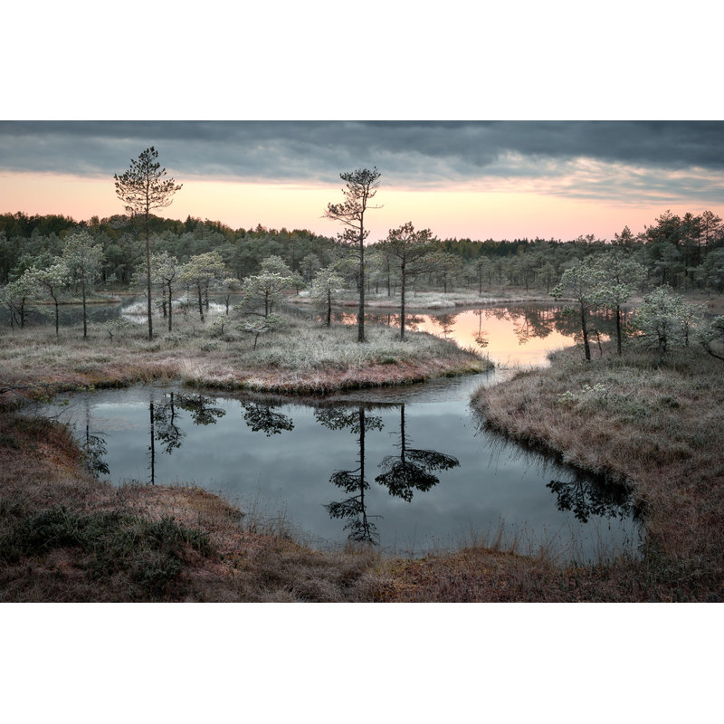 Wrapped Canvas Print, 81.28 cm H x 121.92 cm W