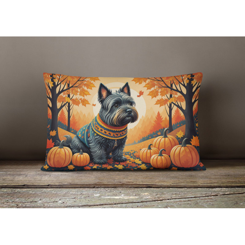 Other/No Pattern Outdoor Throw Pillow