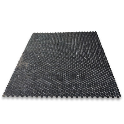 12 in. x 11 in. Polished Marble Tile