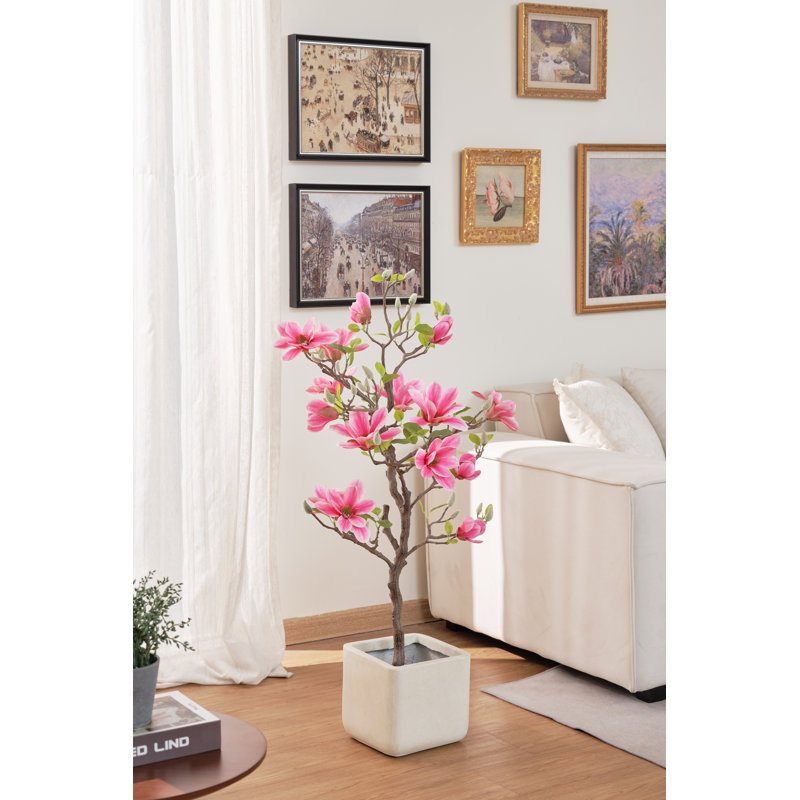 40" Pink Magnolia Flowering Tree in Pot