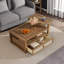 Table basse avec 2 plateaux de table-1936699547