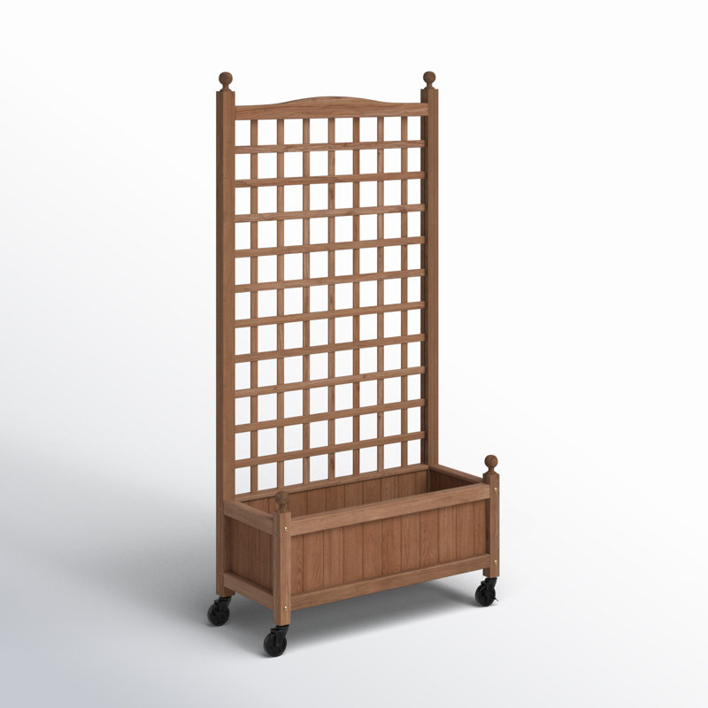 Allistir 50" H Wood Planter Box with Trellis