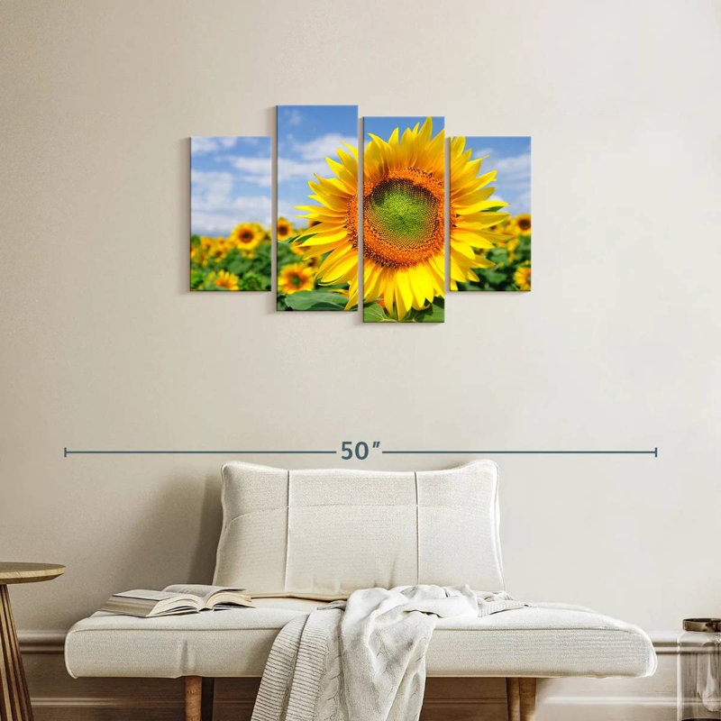 Champ de tournesols Harnek Akeno, H 22 po x l 36 po