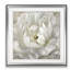 Tableau « Pivoine parfaite »-33488667-33349029