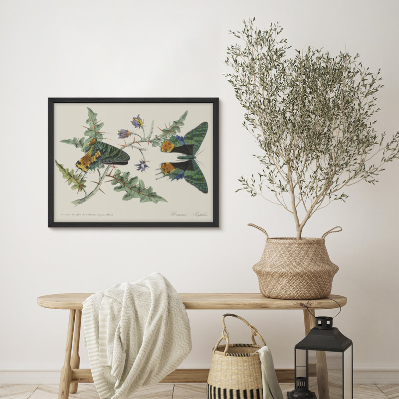 Art mural rustique vert sur des branches, Noir, H 11 po x l 14 po