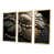 Gold Framed Canvas