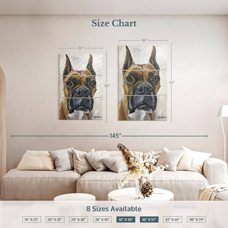Boxer Brampt Kyleigh, H 50 po x l 32 po