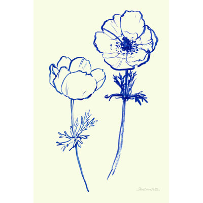 " Ink Anemones II " by Sara Zieve Miller