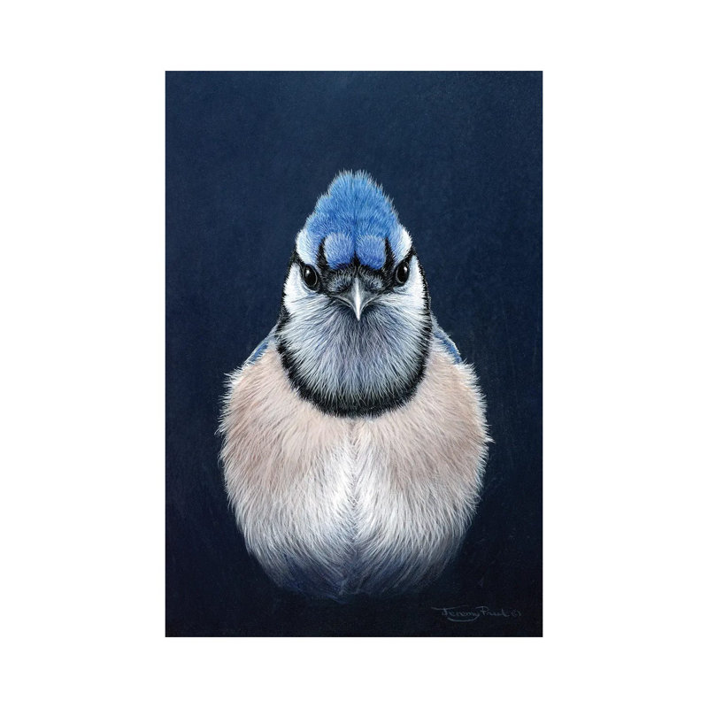 «Blue Jay» par Jeremy Paul - impression sur toile tendue, H 40 po x l 26 po x P 1,5 po