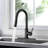Vetta Pull Down Kitchen Faucet-100749374