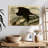 Brampt Whiteheaded Eagle-108126463