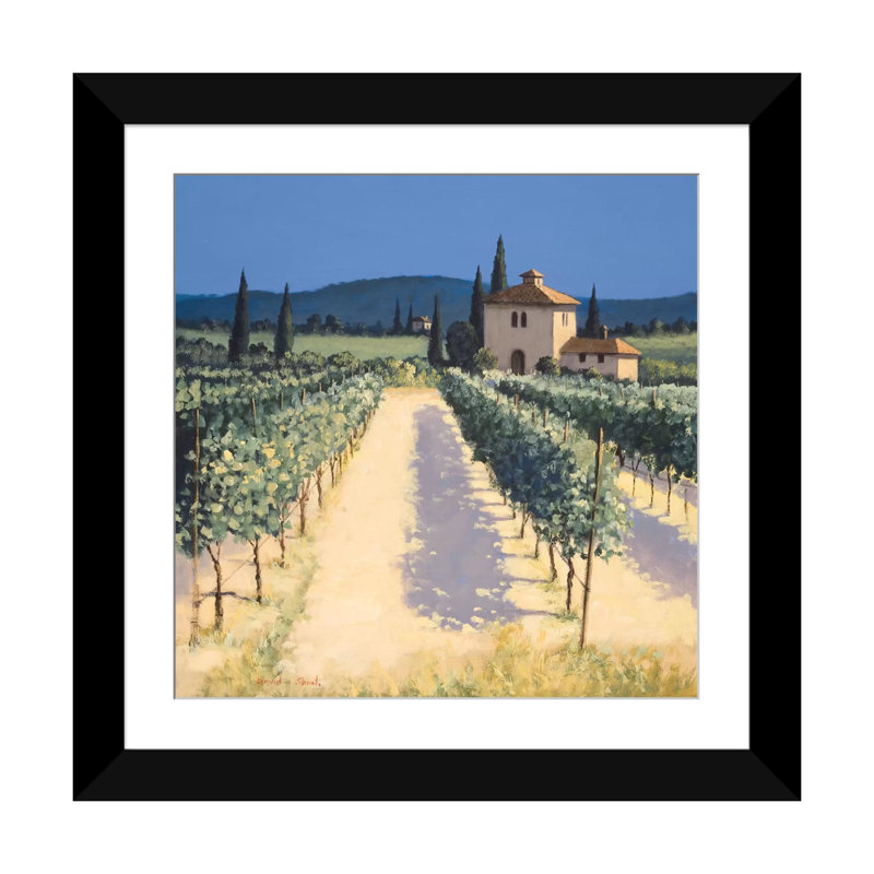 «Vineyard Shadows» par David Short - Impression sur toile tendue sur châssis, H 16 po x l 16 po x P 1 po, Blanc