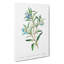 Bluebell Flowers - Wrapped Canvas Painting-55304521
