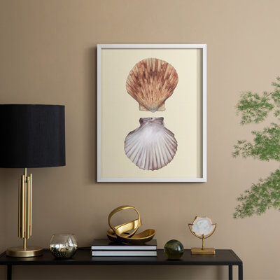 Reproduction encadrée de coquilles bivalves III - bois massif