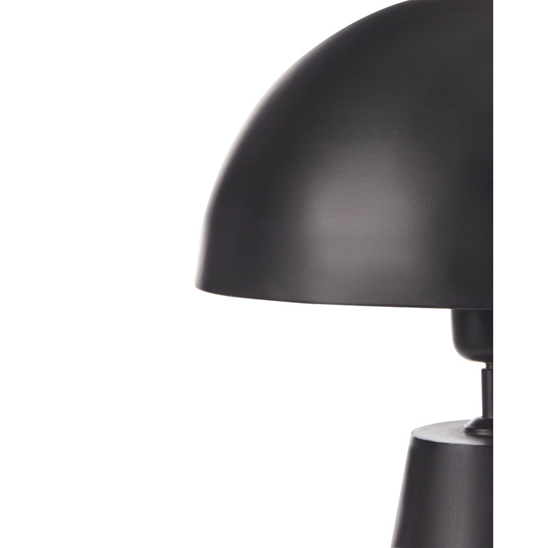 Darzell Metal Novelty Lamp
