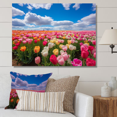 Rose et jaune champ de tulipes - tulipe, art mural