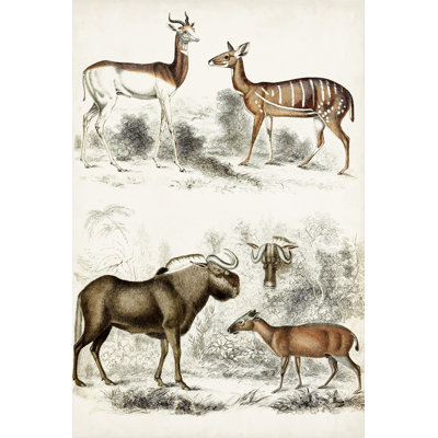 Journal Of Natural History VI by Georges Cuvier - Wrapped Canvas Print