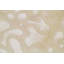 Himalayan Abstract Area Rug