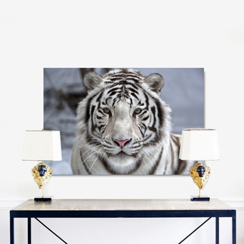 White Tiger Sighted Print, 24" H x 36" W