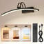 16'' Dimmable Wall Mount Picture Light-1311224650
