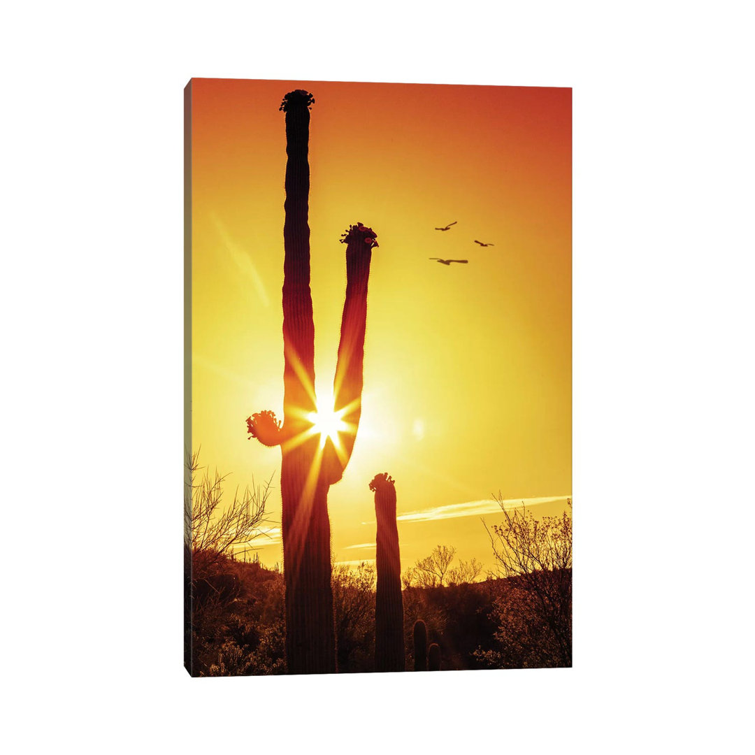 Saguaro Cactus Silhouette At Sunrise by Susan Schmitz - Print on Canvas