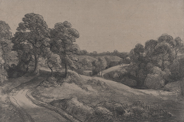 Cabersham Matte Mural, 250 x 104cm