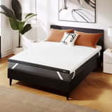 Alwyn Home Laya 4'' Medium Memory Foam Mattress