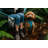 Camping Hammock-86792762-86792734