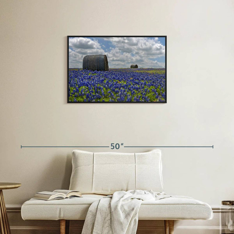 Texas Bluebonnets, Cadre flottant noir, 31 po x 21 po