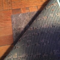 Birch Lane™ 0.22'' Thick Indoor Rug Pad & Reviews