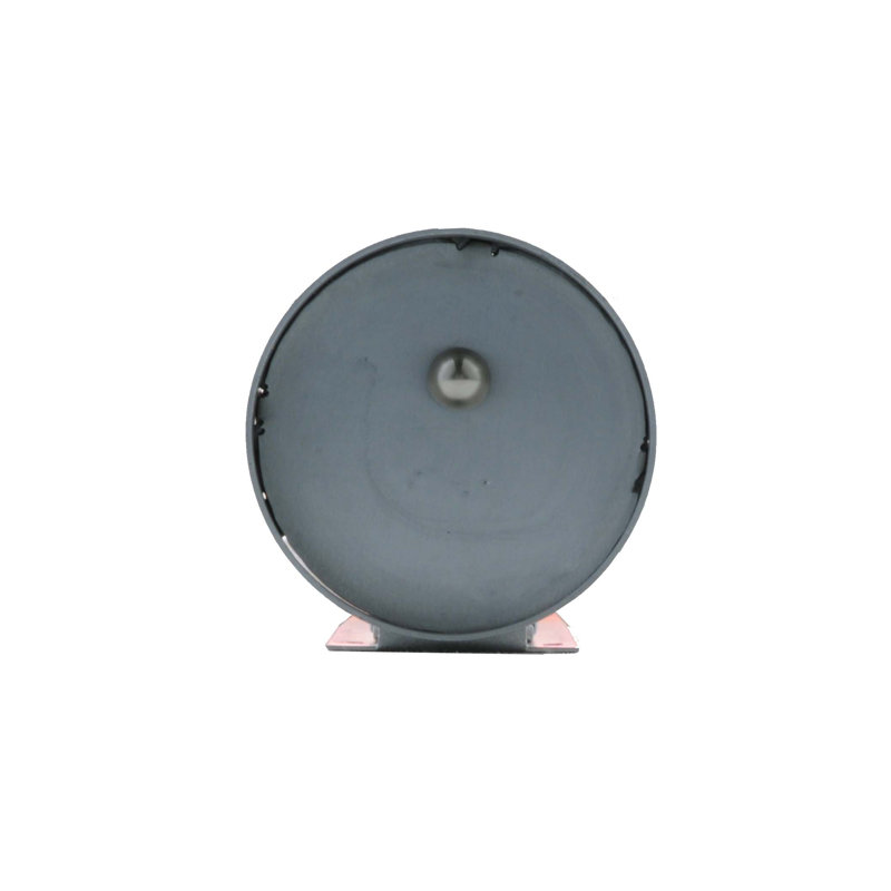 Personalized 1 - Light Flush Mounted Sconce